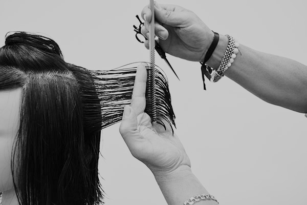 5 MOTIVOS PARA ELEGIR CURSOS ONLINE DE PELUQUERÍA